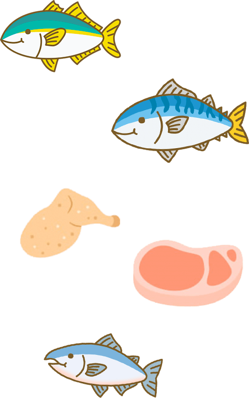 魚のイメージ